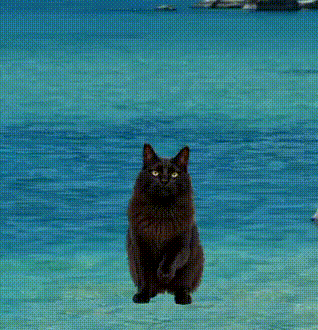 ひじき秘書について